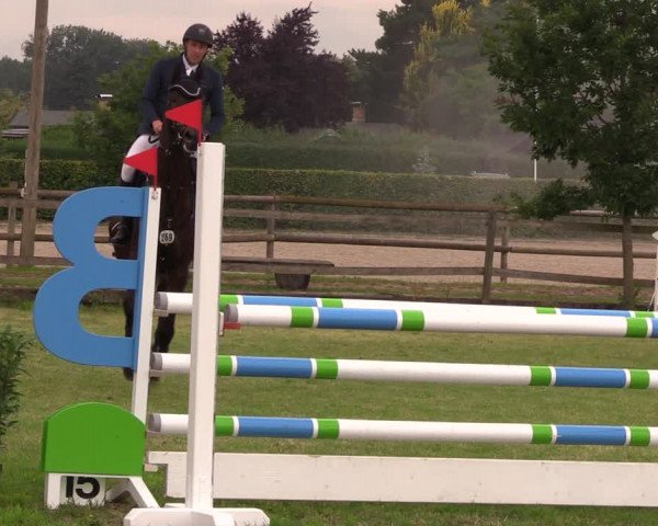 Reitturnier Ladeburg 2019