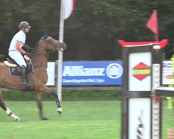 Reitturnier Kappelen-Lyss 2019