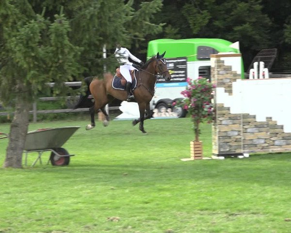 Reitturnier Kappelen-Lyss 2019