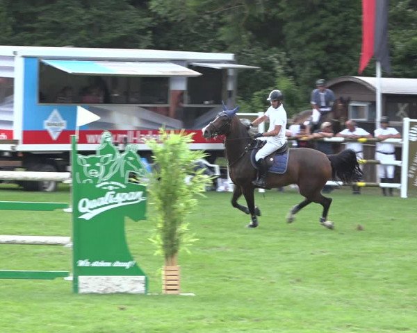 Reitturnier Kappelen-Lyss 2019