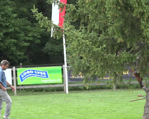 Reitturnier Kappelen-Lyss 2019