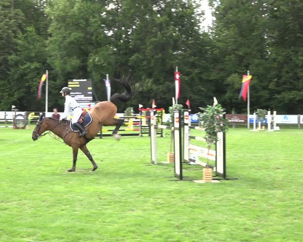 Reitturnier Kappelen-Lyss 2019