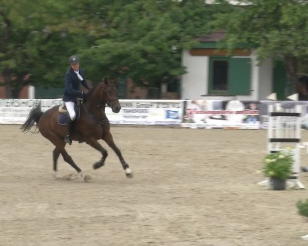 Reitturnier RA Haren/Lüssing 2019