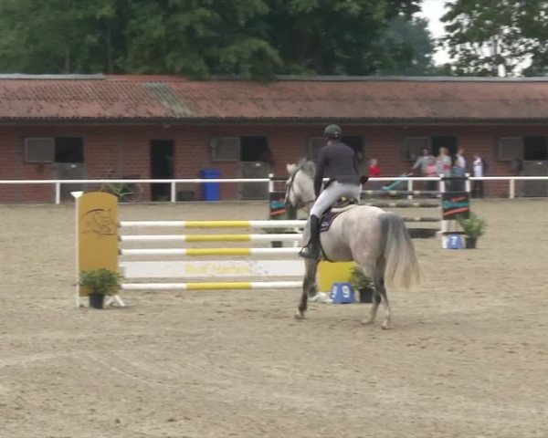 Reitturnier RA Haren/Lüssing 2019