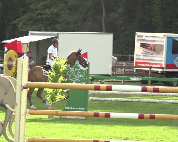 Reitturnier Kappelen-Lyss 2019