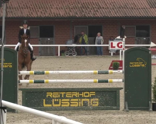 Reitturnier RA Haren/Lüssing 2019