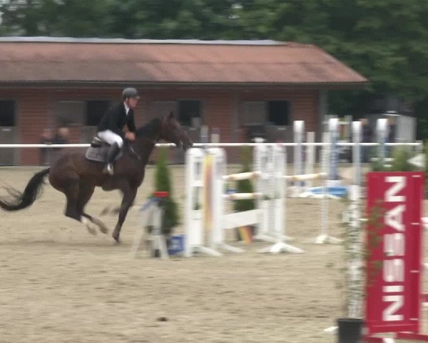 Reitturnier RA Haren/Lüssing 2019