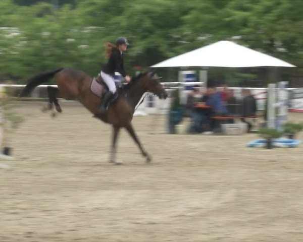 Reitturnier RA Haren/Lüssing 2019