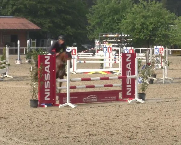 Reitturnier RA Haren/Lüssing 2019