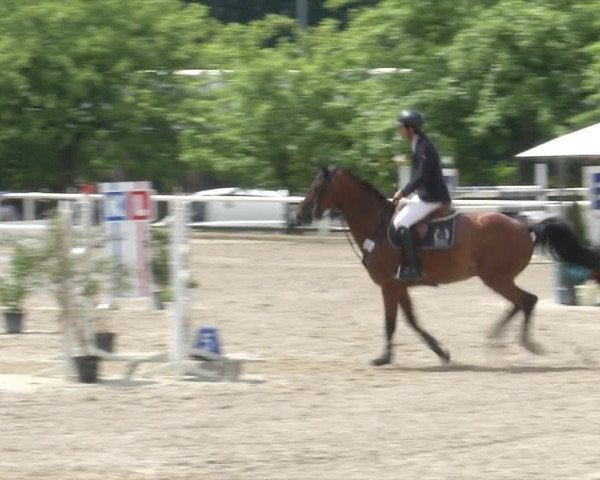 Reitturnier RA Haren/Lüssing 2019