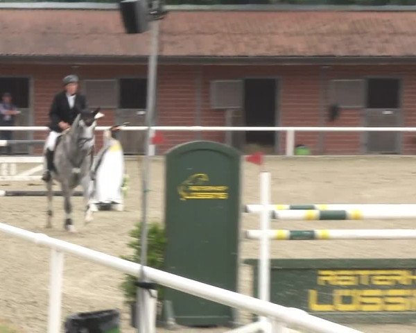 Reitturnier RA Haren/Lüssing 2019