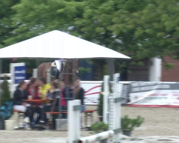 Reitturnier RA Haren/Lüssing 2019