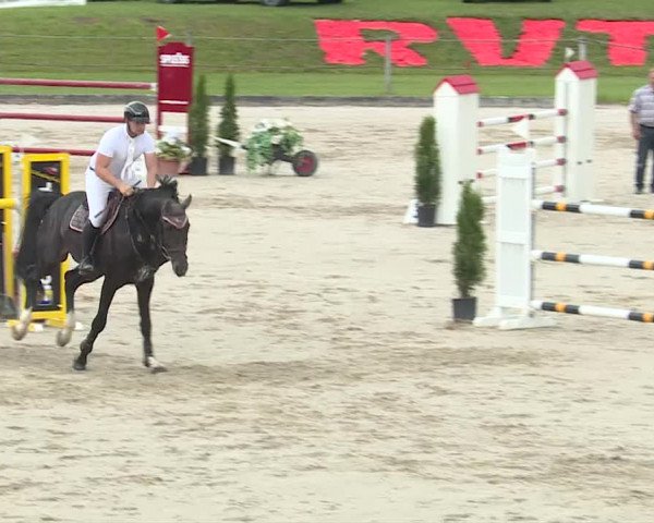 Reitturnier Turbenthal 2019