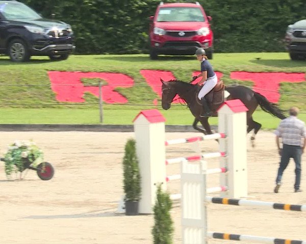 Reitturnier Turbenthal 2019