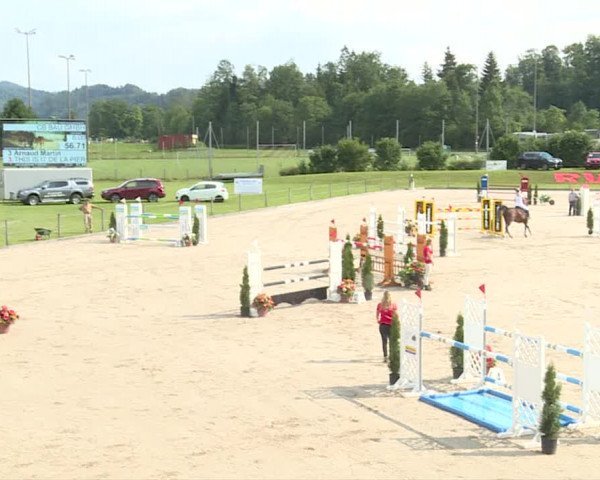 Reitturnier Turbenthal 2019
