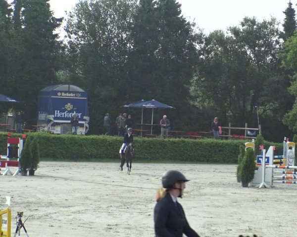 Reitturnier Vlotho-Exter 2019