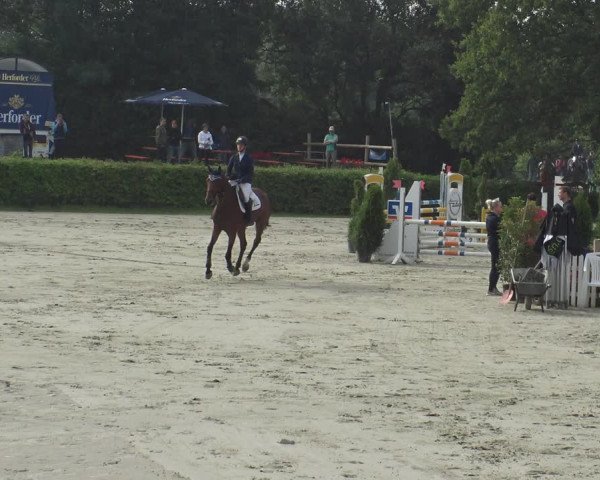 Reitturnier Vlotho-Exter 2019