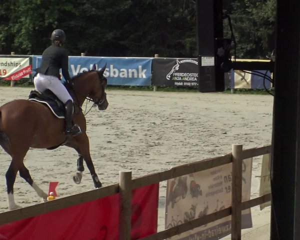 Reitturnier Vlotho-Exter 2019