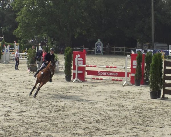 Reitturnier Vlotho-Exter 2019