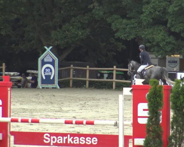 Reitturnier Vlotho-Exter 2019