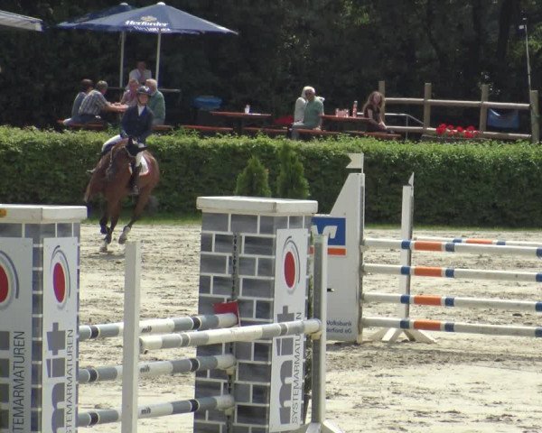 Reitturnier Vlotho-Exter 2019