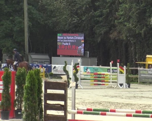 Reitturnier Vlotho-Exter 2019