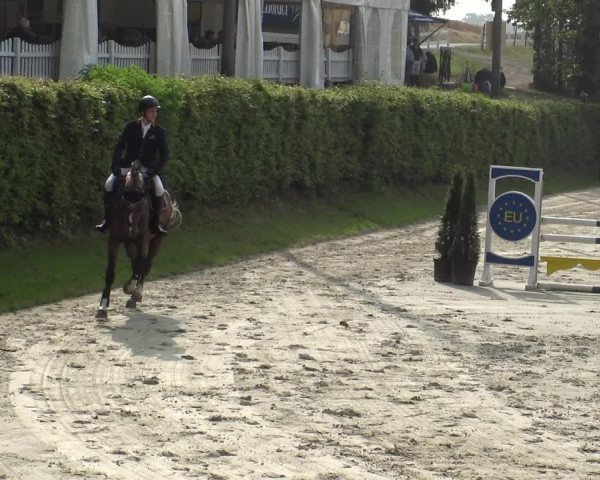Reitturnier Vlotho-Exter 2019