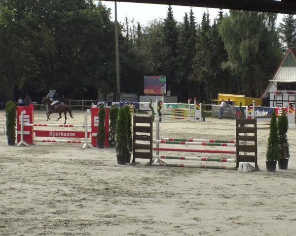 Reitturnier Vlotho-Exter 2019
