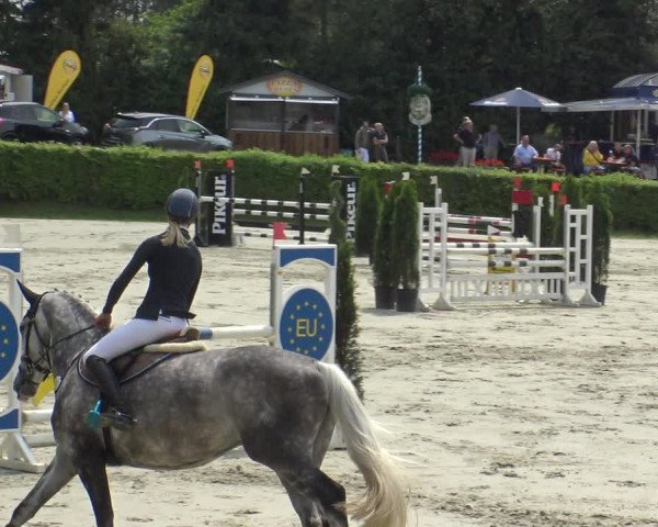 Reitturnier Vlotho-Exter 2019