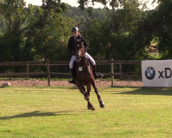Reitturnier Ladeburg 2019