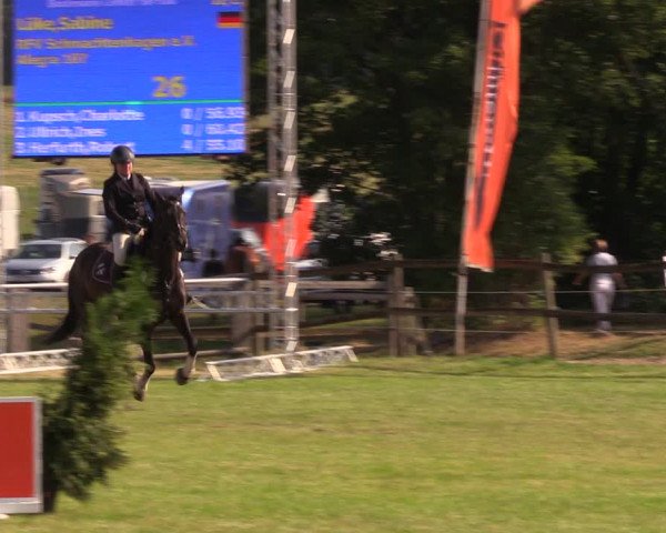 Reitturnier Ladeburg 2019