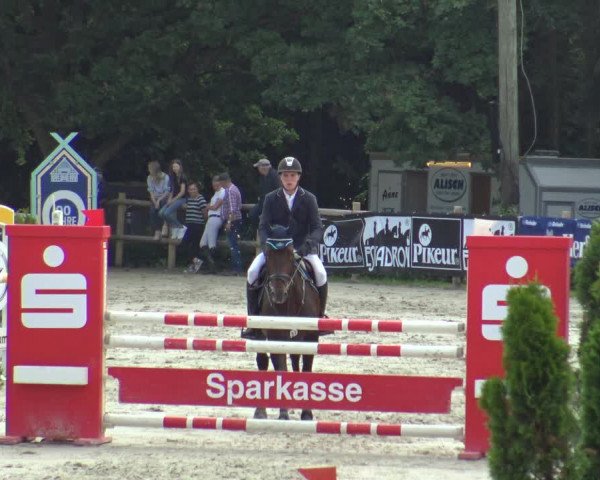 Reitturnier Vlotho-Exter 2019
