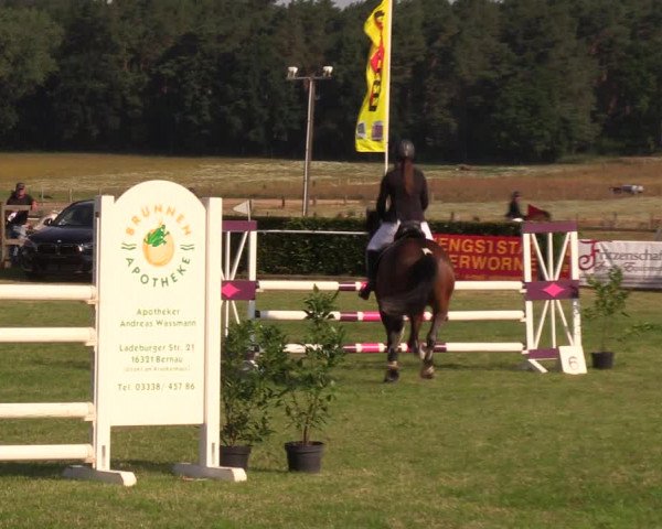 Reitturnier Ladeburg 2019