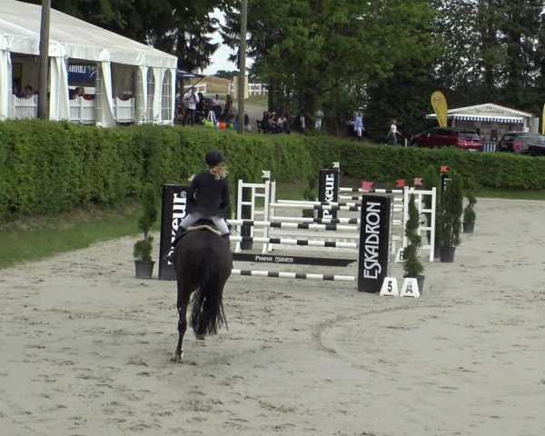Reitturnier Vlotho-Exter 2019