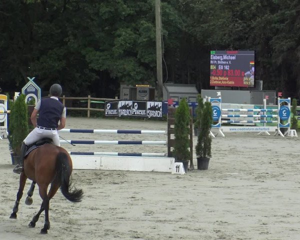 Reitturnier Vlotho-Exter 2019
