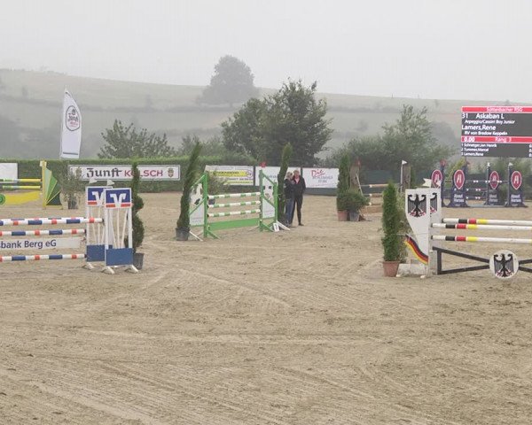 Reitturnier Lindlar-Süttenbach 2019