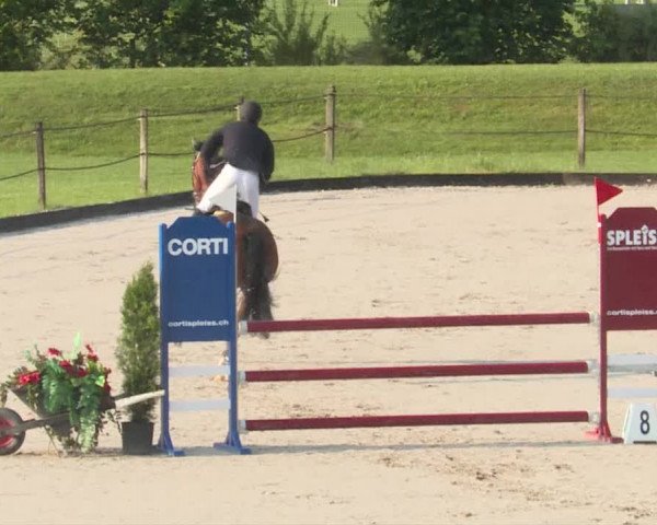 Reitturnier Turbenthal 2019