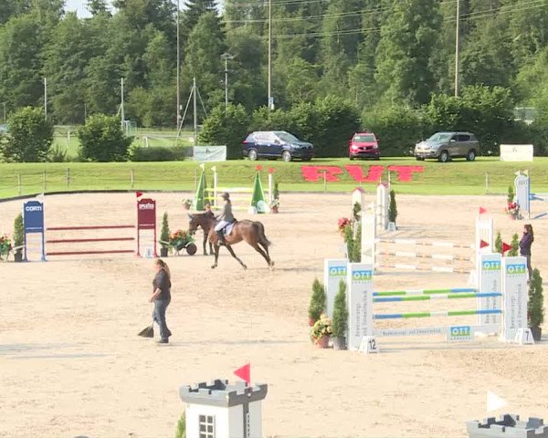 Reitturnier Turbenthal 2019