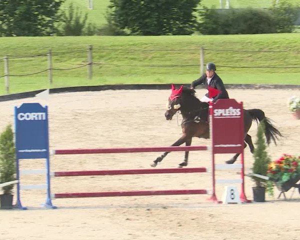 Reitturnier Turbenthal 2019