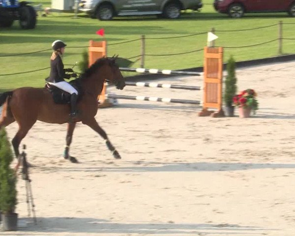 Reitturnier Turbenthal 2019