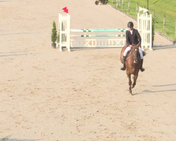 Reitturnier Turbenthal 2019