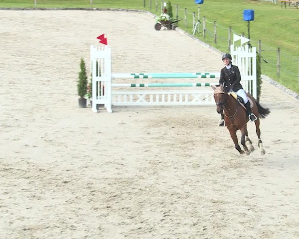Reitturnier Turbenthal 2019