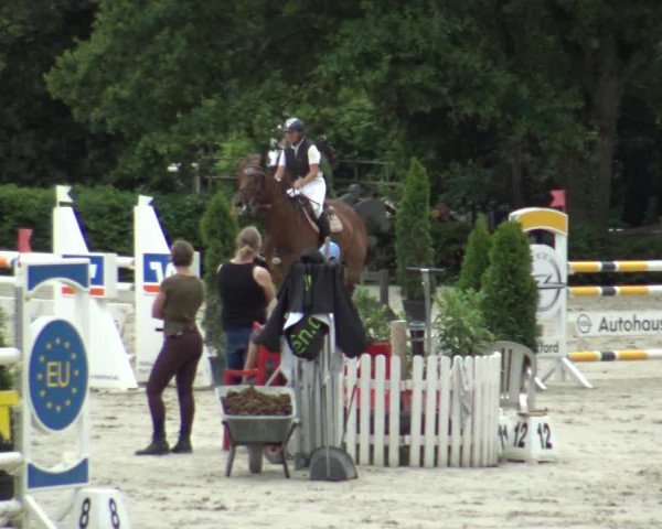 Reitturnier Vlotho-Exter 2019