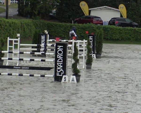 Reitturnier Vlotho-Exter 2019