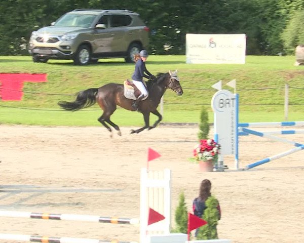 Reitturnier Turbenthal 2019