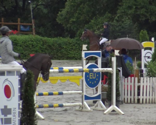 Reitturnier Vlotho-Exter 2019