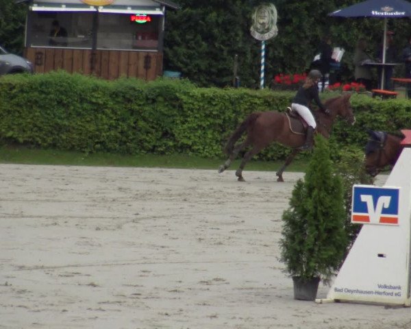 Reitturnier Vlotho-Exter 2019