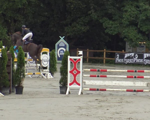 Reitturnier Vlotho-Exter 2019