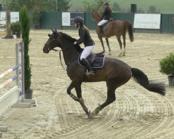 Reitturnier Lindlar-Süttenbach 2019