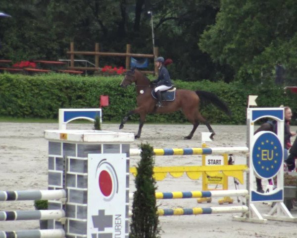 Reitturnier Vlotho-Exter 2019